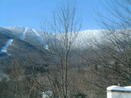 Sugartree Inn Warren Exterior foto